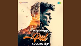 Pal  Soulful Flip [upl. by Ahseit278]