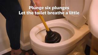 How To Fix A Clogged Toilet [upl. by Idner723]