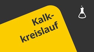 Überblick über den Kalkkreislauf  Chemie  Allgemeine und anorganische Chemie [upl. by Learsiy]