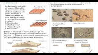 10Fentes de dessication et stratification croisée [upl. by Adamik415]