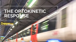 The Optokinetic Response [upl. by Zetrauq]