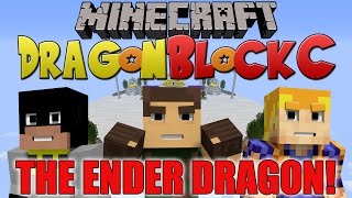 Dragon Block C 164 w xRpMx13 and Rhymestyle Fighting the Ender Dragon DBZ Minecraft [upl. by Aicelf]