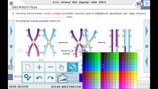 10 Sınıf Biyoloji  Hücre Bölünmeleri  6 🔬 [upl. by Asiela]