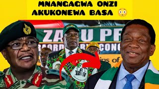 BHORA MUSANGO HONAI ZVOITWA MNANGAGWA ONZI AKUKONEWA BASA 😳 [upl. by Winola]