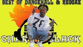 Charly Black Mixtape Best of Dancehall Reggae Mix by djeasy [upl. by Columbyne571]