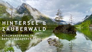 Der wunderschöne Hintersee amp Zauberwald bei Ramsau  Berchtesgadener Land  kleine Wanderung  4K [upl. by Acysej]