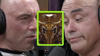 Eddie Bravo Exposes “Luciferian” Elements at Vatican [upl. by Rafaelof411]