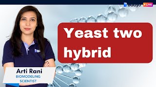 Yeast two hybrid [upl. by Forbes]