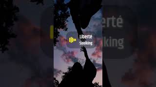 Liberté soolking music [upl. by Danby753]