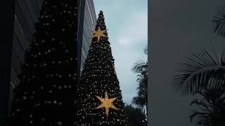 SE ENCIENDEN LAS LUCES DE NAVIDAD EN MANIZALES [upl. by Unders]