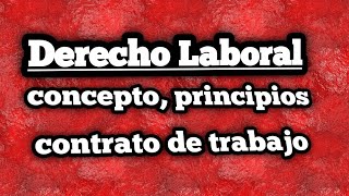 Derecho Laboral Concepto funciones y contrato de trabajo [upl. by Iarahs]