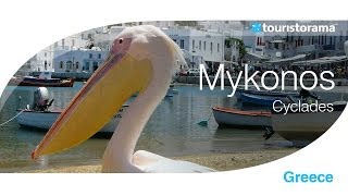 Mykonos Μύκονος pelican by wwwtouristoramacom [upl. by Yekcim845]