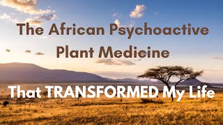 The African Psychoactive Plant Medicine That Transformed My Life Ibogaine [upl. by Morril]