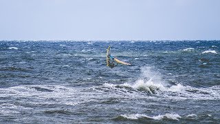 Die südlichste Landspitze vom Baltikum  Endlich am Meer  Litauen S03 EP14 [upl. by Laise]