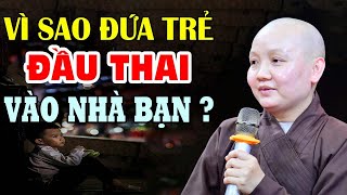 Nghiệp Quả Giữa Cha Mẹ Và Con Cái  Vì Sao Đứa Trẻ Lại Chọn Bạn  Lý Giải Về Câu Chuyện Nhân Quả Hay [upl. by Nillek]