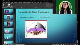 FASES DEL DESARROLLO EMBRIONARIO [upl. by Lever]