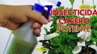 como hacer insecticida casero chuyito jardinero [upl. by Tallbot]