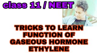 TRICKS to learn easily the function of ETHYLENE  gaseous hormone Plant growth regulator [upl. by Alleuqcaj]