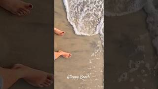 Alleppey Beach shortsfeed shorts trending viralvideo alleppeybackwaters allepey beachvibes [upl. by Gearard27]