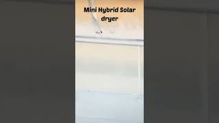 Mini Hybrid Solar dryer [upl. by Kalfas405]