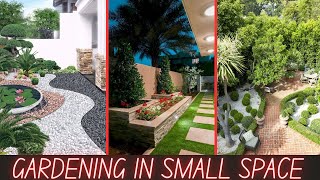 gardening in small spacessimple backyard landscaping ideasbackyard diy landscaping ideasgarden [upl. by Audette]