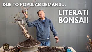 Design a Literati Style Bonsai with Me [upl. by Atilrep83]