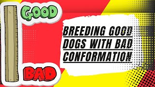 Breeding Good Dogs With Bad Conformation [upl. by Chester]