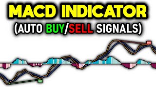 Special MACD Indicator Revealed Auto Signals [upl. by Matelda897]