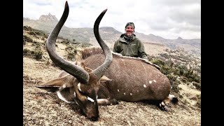 Season 1  Episode 3  Ethiopian Mountain Nyala [upl. by Ssidnac655]