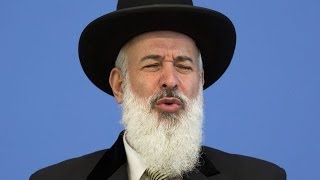 Rav Metzger and HaGaon HaRav Elyashiv ztl  Lashon HaRa Interview with Rabbi David BarHayim [upl. by Adnowat]