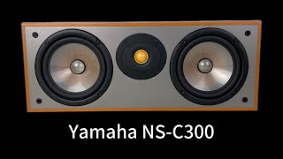 Yamaha NSC300 Center Channel Loudspeaker [upl. by Annaeiluj]