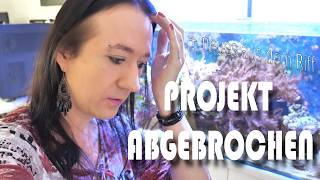 Projekt abgeborchen  Shallow Reef Neuigkeiten  NordicMoor  102024 [upl. by Occer]