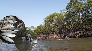 PESCARIA DE REDE DE ARRASTO NO IGARAPÉ DO ARAÇAGYMA [upl. by Neleb]