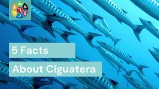 My ciguatera poisoning story storytime [upl. by Regina]