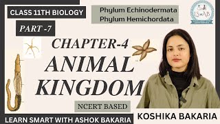 PART7  Biology Class 11  Animal Kingdom Phylum Echinodermata amp Hemichordate  Koshika Bakaria [upl. by Qahsi]