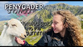 How to climb Cader Idris with kids in Wales through Pony Path route [upl. by Erna847]