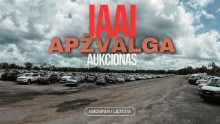 IAAI Aukcionas WPB  Grizo klientu masinos i MIAMI terminala [upl. by Baptist]