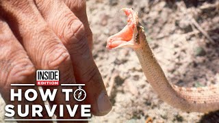 How to Survive a Venomous Snake Bite [upl. by Eltsirhc114]