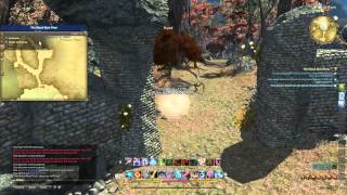 The Blood Must Flow BLM Job Quest  FFXIV  June 14th 2015 [upl. by Laurene]