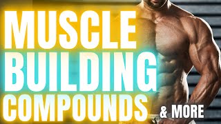 Muscle Builders Vitamin D Ashwagandha GDAs amp More with Lucas Aoun [upl. by Noslien]