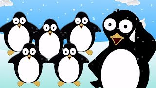 Cinq Petits Pingouins  Comptines Pour Enfants  Five Little Penguins  Kids Baby Club Française [upl. by Bysshe]