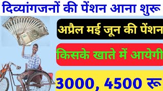 Divyang Pension Milna Shuru April May June ki 4500 रू Monthly  June Me Viklang Pension Kab Aayegi [upl. by Ardnala879]