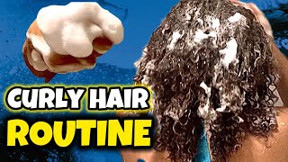 Everything Shower Haircare Routine  How to Properly Take Care of CURLY HAIR  Hair Tutorial [upl. by Eidderf]