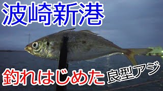 2024年9月 茨城県 波崎新港 アジング ライトゲーム アジ ジグヘッド フロートリグ ドリームアップ ドリームコンスリー 81SF 椿 [upl. by Cos]