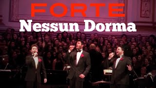 Forte  Nessun Dorma  Carnegie Hall Debut [upl. by Assillim604]