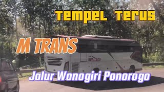 Tempel Terus Bus MTrans di Jalur Wonogiri Ponorogo 🚌 [upl. by Nerin705]