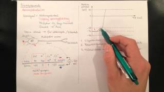 Nervsystemet aktionspotentialen [upl. by Yadsendew]