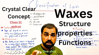 Waxes structure properties and functions  one  Classification of lipids  in Urdu Hindi [upl. by Alansen]