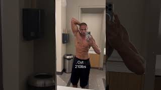 Peak Bulk vs Cut  Body Fat  diet gymmotivation cuttingseason cardio [upl. by Ydnak]