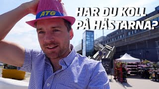 Travhästar och tester  en vecka i maj med Jesper Nelin [upl. by Hurwit914]